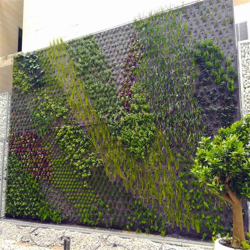 Mur végétal en végétaux vivants - AVDA. GENERAL MARVA, ALICANTE - Paisajismo Urbano - en panneau modulaire / naturel / de jardin