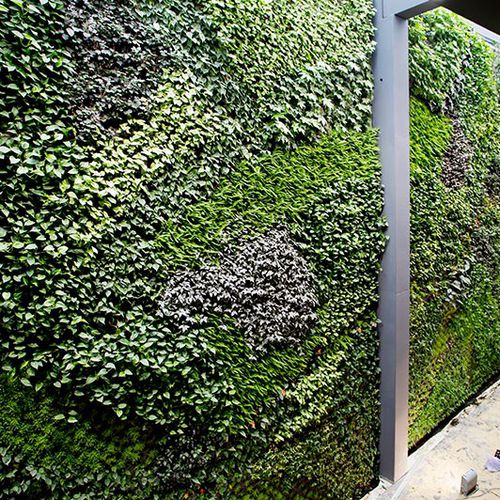 Mur végétal stabilisé - VERTICAL EN ALCORCÓN - SEAFOOD RESTAURANT - Paisajismo Urbano - en panneau modulaire / naturel / d'intérieur
