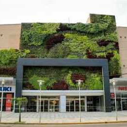 Mur végétal en végétaux vivants - BOLIVIA - LAS BRISAS MALL - Paisajismo Urbano - en panneau modulaire / naturel / en lichen