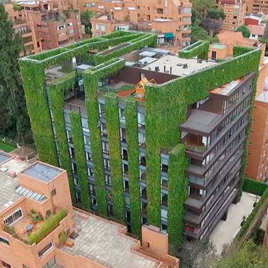 Mur végétal stabilisé - WORLD IN COLOMBIA - Paisajismo Urbano - en végétaux vivants / en panneau modulaire / colonne