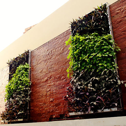 Mur végétal en végétaux vivants - PARAGUAY - ALOFT HOTEL - Paisajismo Urbano - en panneau modulaire / naturel / de jardin