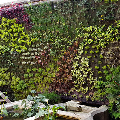 Mur végétal en végétaux vivants - RESTAURANT IN ANTIGUA - Paisajismo Urbano - en panneau modulaire / naturel / floral