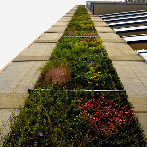 Mur végétal en végétaux vivants - VERTICAL ECOSYSTEM IN COLOMBIA - Paisajismo Urbano - en panneau modulaire / colonne / naturel