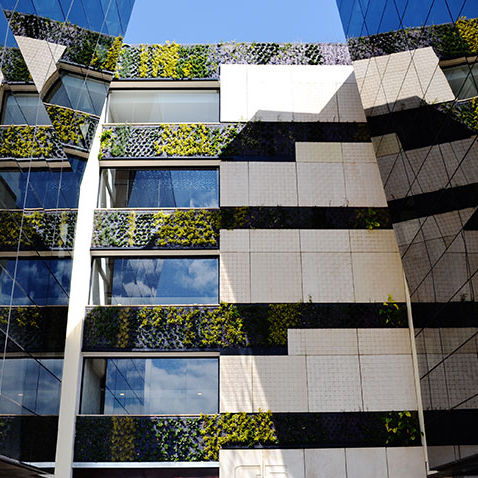 Mur végétal stabilisé - CONNECTA G4-G5 BUSINESS PARK BUILDING - Paisajismo Urbano - en végétaux vivants / en panneau modulaire / naturel