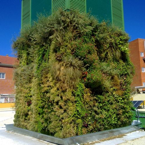 Mur végétal stabilisé - VEGETAL COVER IN GETAFE, MADRID - Paisajismo Urbano - en végétaux vivants / en panneau modulaire / colonne