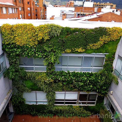 Mur végétal en végétaux vivants - COMPENSAR MEDICAL CENTER - Paisajismo Urbano - en panneau modulaire / naturel / d'intérieur