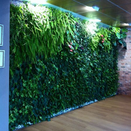 Mur végétal stabilisé - SPAIN, ALICANTE – PRIVATE OFFICE - Paisajismo Urbano - en végétaux vivants / en panneau modulaire / naturel