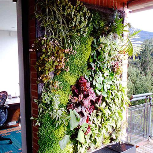 Mur végétal en végétaux vivants - COLOMBIA – PRIVATE HOUSE, BOGOTÁ - Paisajismo Urbano - en panneau modulaire / naturel / floral