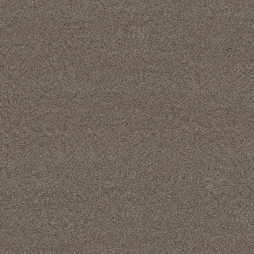 Moquette poil coupé - 5E966-00720 - Shaw floors - en PET / professionnelle / à motif