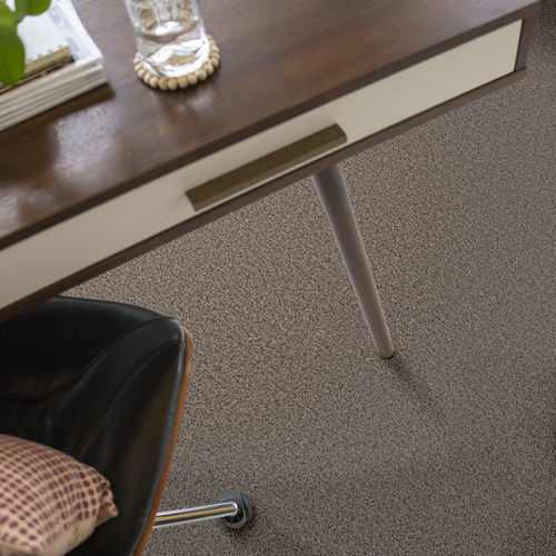 Moquette poil coupé - RAMPED UP - Shaw floors - en PET / professionnelle / à motif