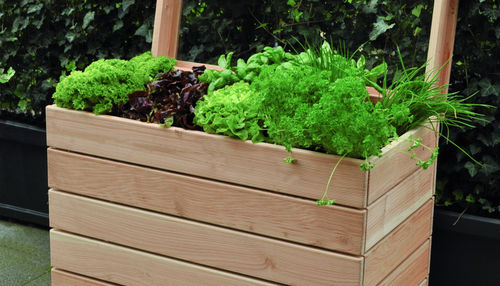 Carré potager en bois - ante-Gruppe - résidentiel