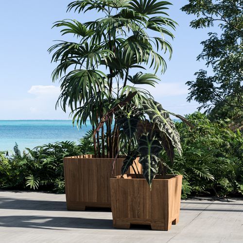 Jardinière en teck - BOTANIQ   - Royal Botania - carrée / contemporaine / beige