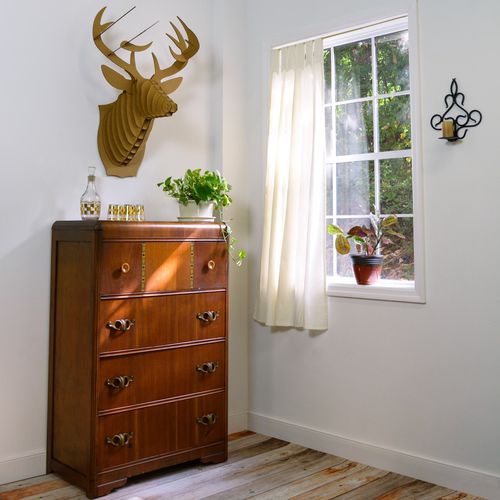 Sculpture en carton - BUCKY DEER HEAD - cardboard safari - murale