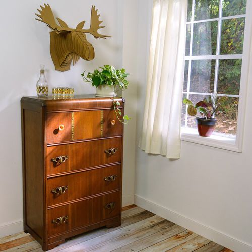 Sculpture en carton - FRED MOOSE HEAD  - cardboard safari - murale
