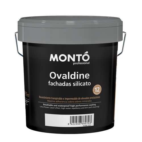 Peinture de protection - OVALDINE SILICATO - PINTURAS MONTO - décorative / d'adhérence / d'intérieur