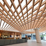 plafond tendu en bioplastique
