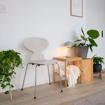 chaise contemporaine