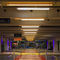 luminaire apparentACTiTube40S RGBWACTiLED Lighting