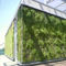 mur v&eacute;g&eacute;tal d'ext&eacute;rieurSOPRANATURE&reg; VIVAGREEN&reg;SOPREMA