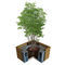 corset d'arbre en boisTYPE 1500-900ACO