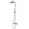 colonne de douche professionnelleL10504BOSSINI