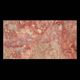 plaque de pierre en marbre / murale / polie / rouge