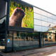 panneau led mural / pour média façade / modulaire / RGB