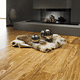 parquet contrecollé / mat / flottant / en lames