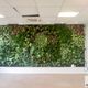 mur végétal stabilisé / en panneau modulaire / naturel / feuillages denses