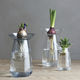 vase contemporain / en verre