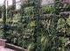 mur végétal stabilisé / en panneau modulaire / naturel / feuillages denses