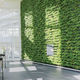 mur végétal stabilisé / en végétaux vivants / en panneau modulaire / naturel