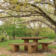 ensemble table et bancs contemporain / en bois / d'extérieur / pour espace public
