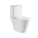 toilette intelligente / à poser / en céramique / ovale