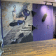 mur d'escalade fixe / pour établissement public / d'intérieur