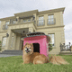 niche pour chien en fibre de carbone