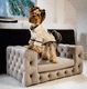 canapé pour chien de luxe / en tissu / beige / marron