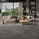 carrelage en porcelaine / mat / d'intérieur / d'extérieur