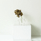 vase contemporain / en résine / de table / non spécifié