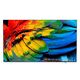 TV smart / ultra HD / cadre / LED