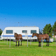 clôture à barreaux / pour enclos animalier / en aluminium / rectangulaire