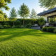 gazon naturel / en graines / pour jardin / pour terrain de sport