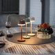 lampe de table / en aluminium / contemporaine / à batterie rechargeable