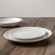 assiette plate / ronde / professionnelle / uni