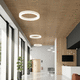 panneau acoustique pour faux-plafond / en douglas / en bois massif / en chêne