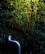 borne d'éclairage de jardin / contemporaine / en métal / à LED