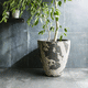 pot de jardin en terracotta / rond / résidentiel / blanc