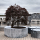 jardinière en zinc / ronde / contemporaine / grise