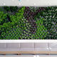 mur végétal en végétaux vivants / en panneau modulaire / naturel / floral