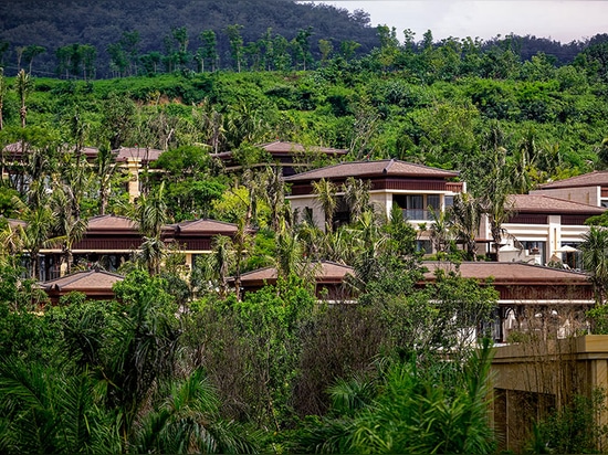 les dessus de toit pointillent la montagne abondante